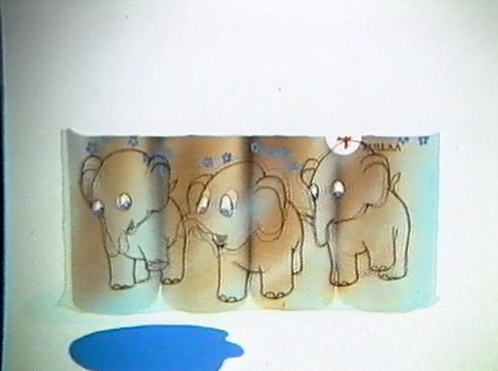 Four elephants stand in a row on the standing strip, a blue puddle spreading in front