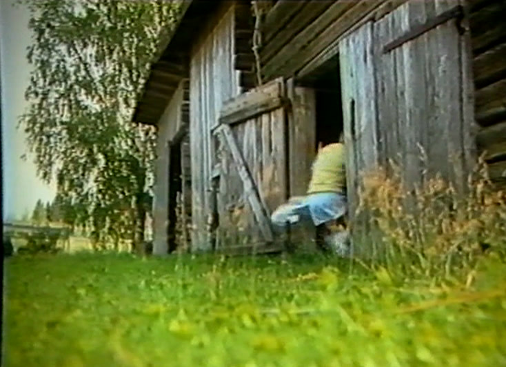 Harmaa lautalato, ovi auki, valkoinen kana räpiköi ruohikon poikki.