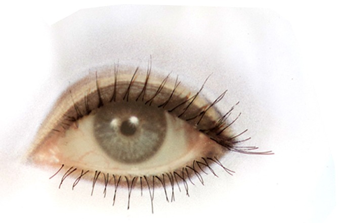 An airbrushed photograph of a single grey eye with long dark lashes, cut out against white.